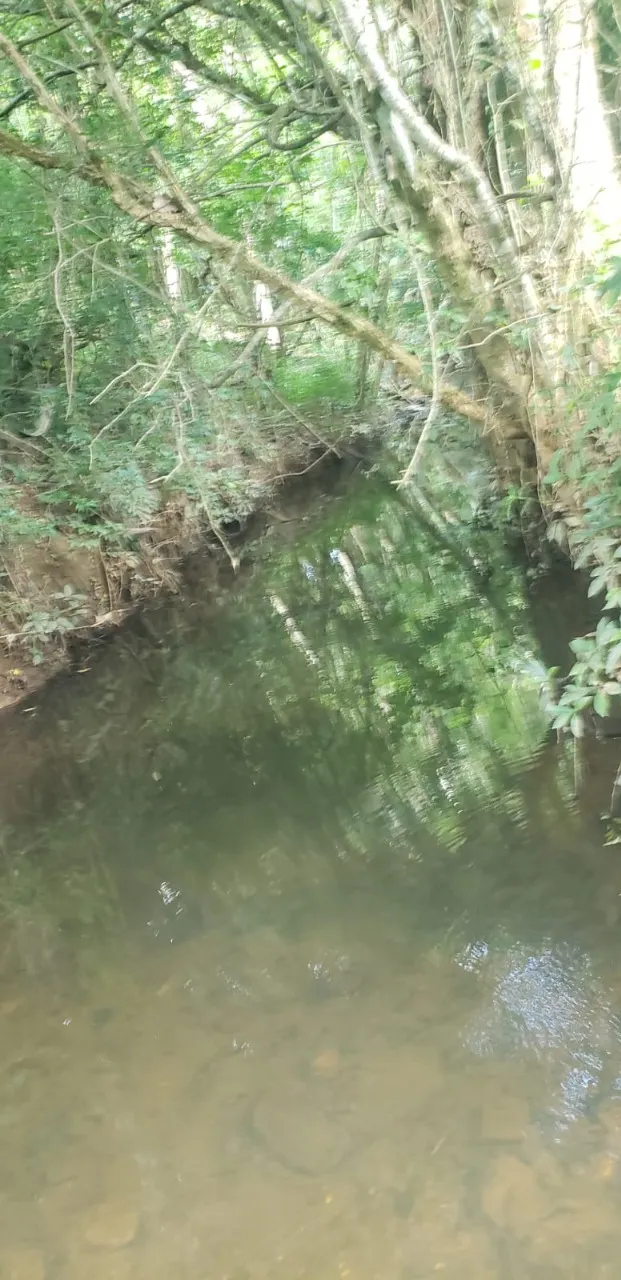 Fazenda à venda de 7 ha em Angatuba, SP, Brasil