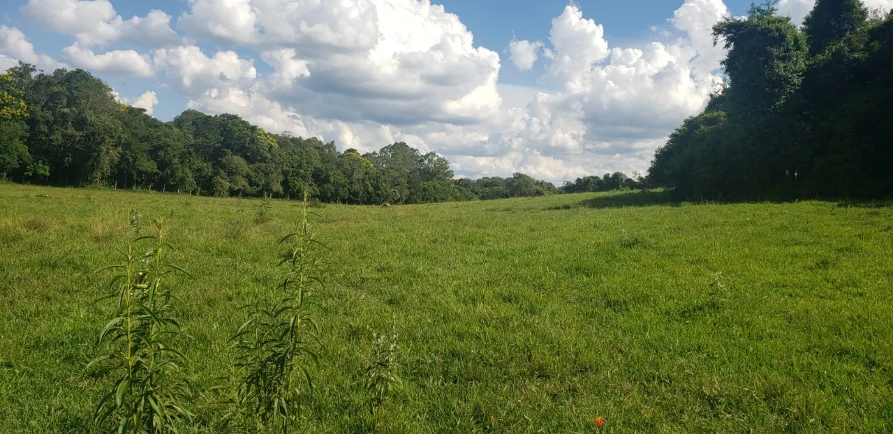 Fazenda à venda de 7 ha em Angatuba, SP, Brasil