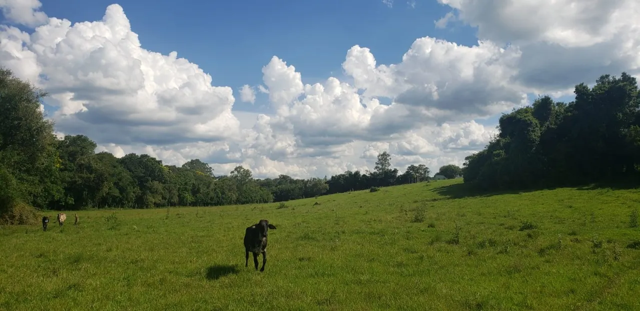 Fazenda à venda de 7 ha em Angatuba, SP, Brasil