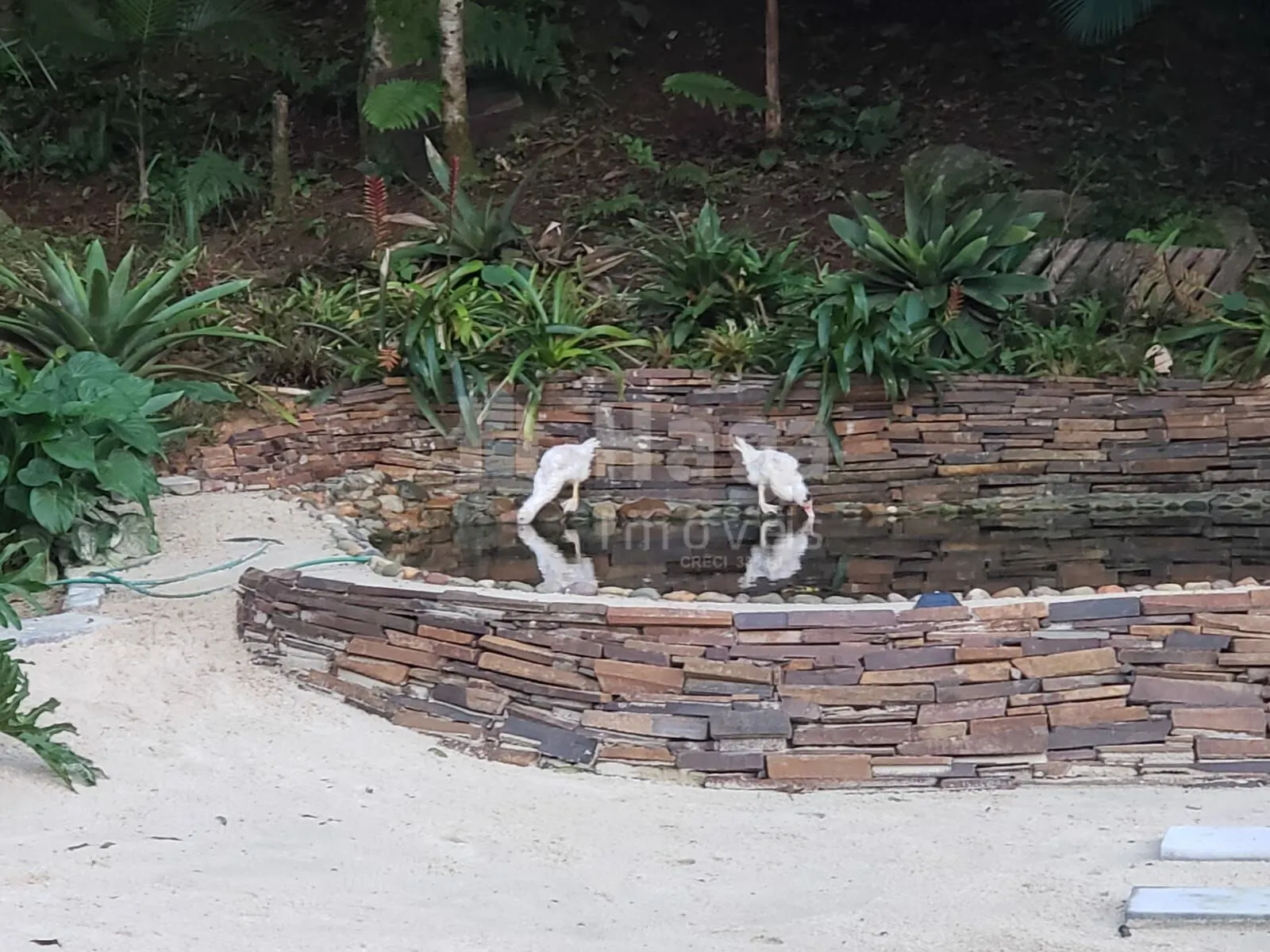 Chácara à venda de 3 ha em Benedito Novo, SC, Brasil