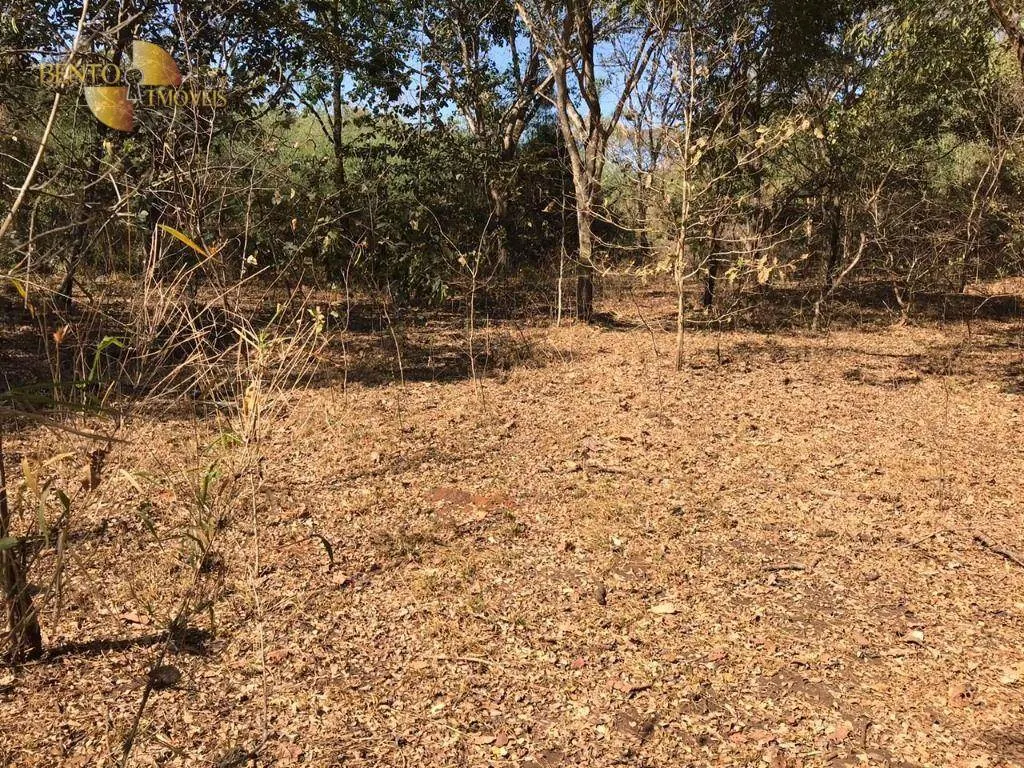 Fazenda à venda de 516 ha em Paranatinga, MT, Brasil