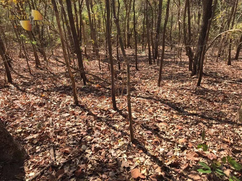 Farm for sale of 1,275 acres in Paranatinga, MT, Brazil