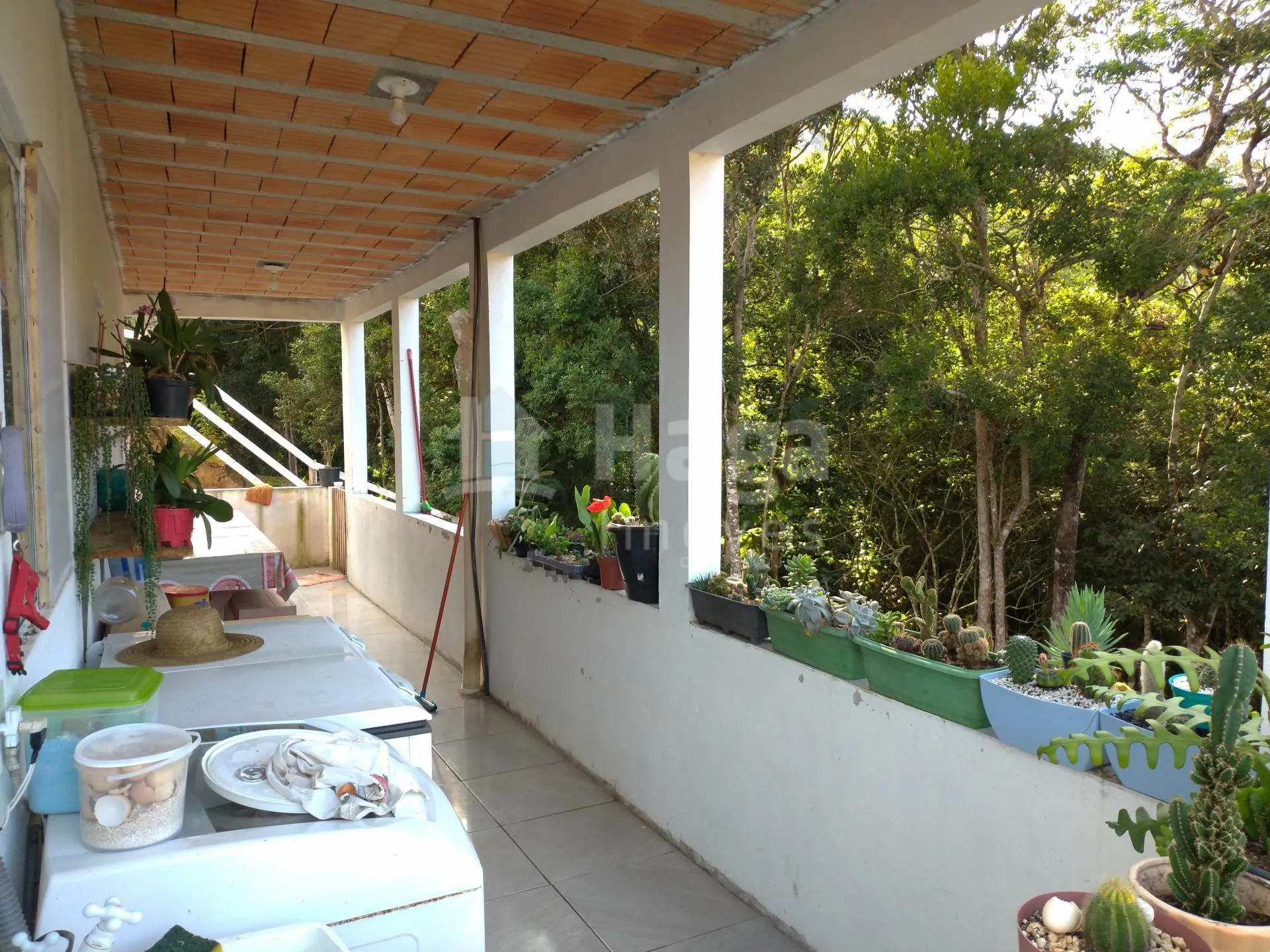 Fazenda à venda de 2.000 m² em Canelinha, SC, Brasil