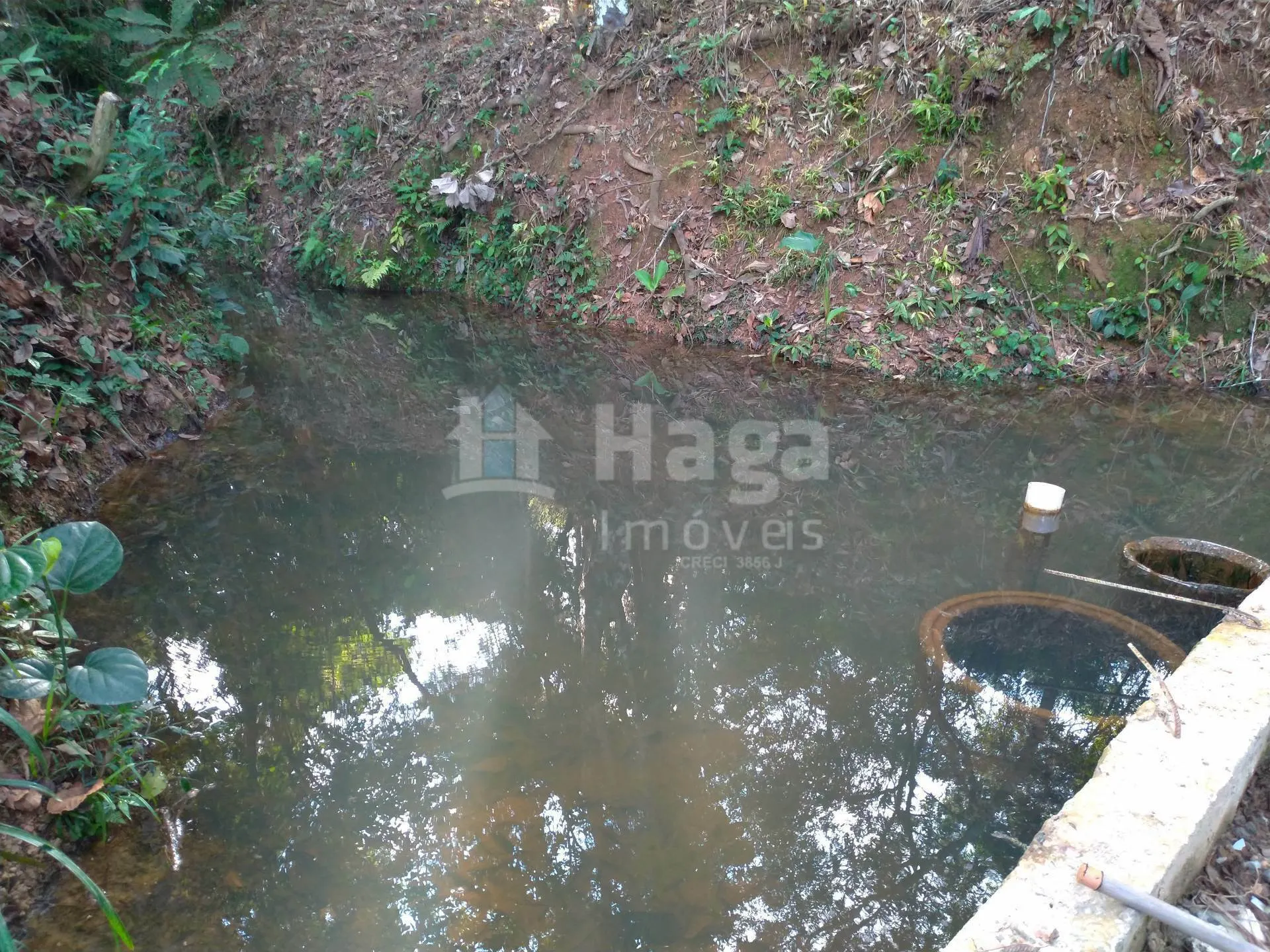 Fazenda à venda de 2.000 m² em Canelinha, SC, Brasil