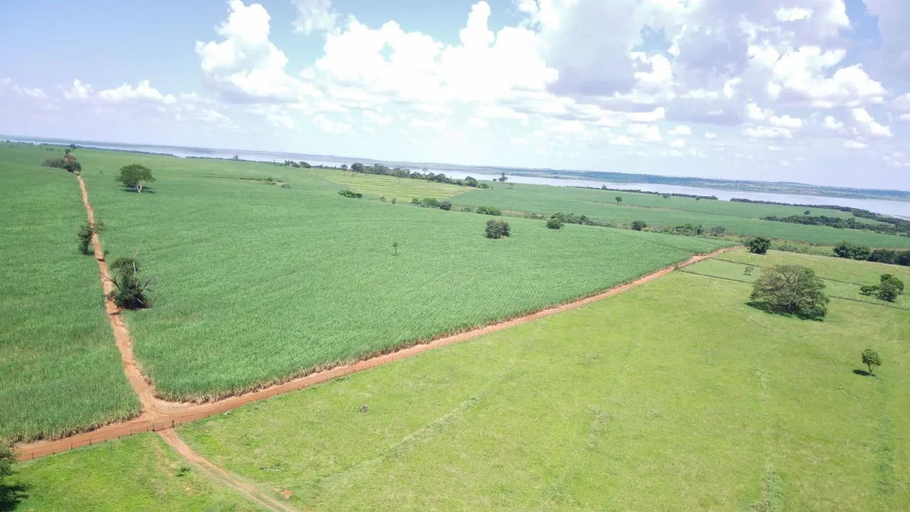 Fazenda à venda de 491 ha em Santo Antônio do Aracanguá, SP, Brasil
