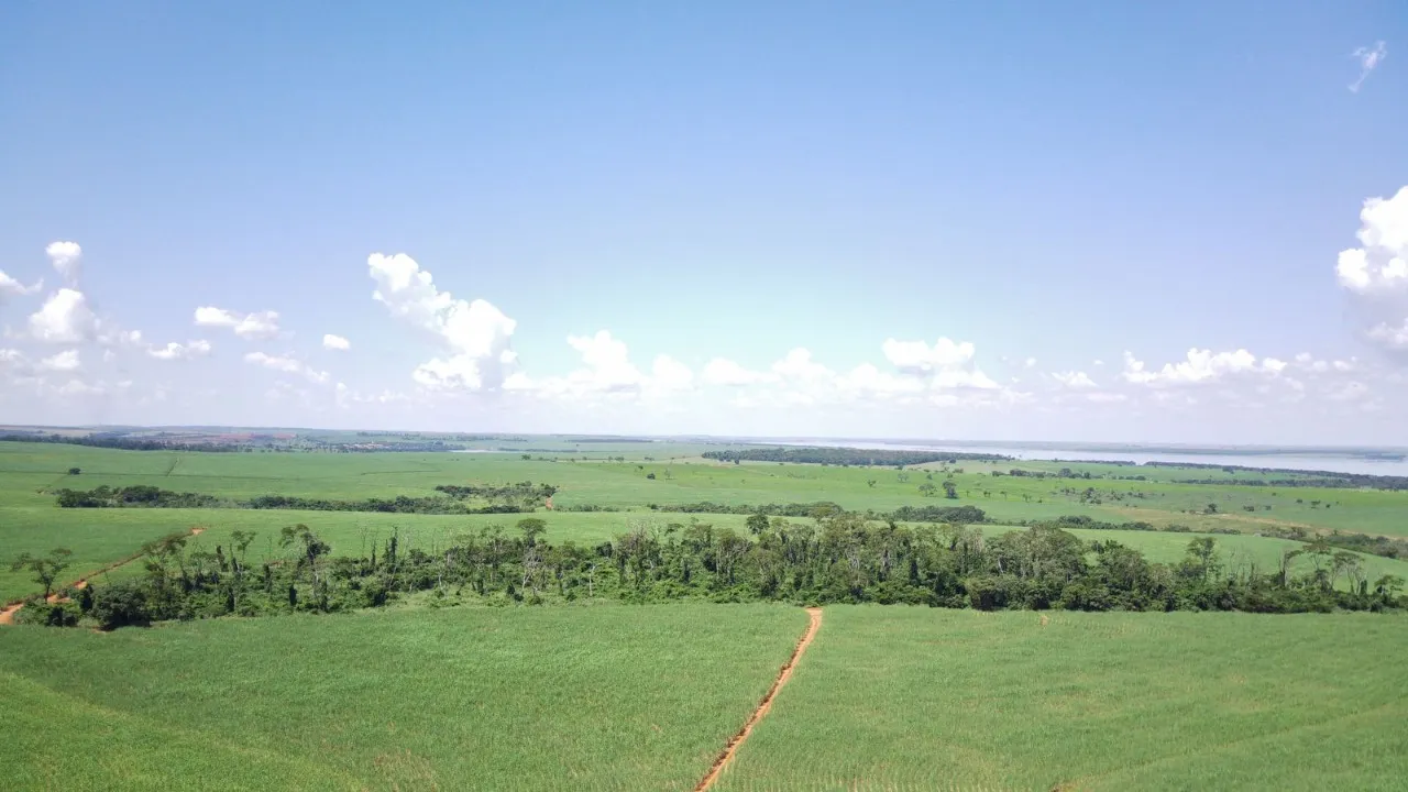 Fazenda à venda de 491 ha em Santo Antônio do Aracanguá, SP, Brasil