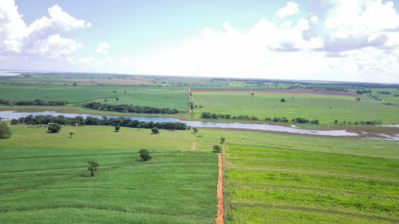 Fazenda à venda de 491 ha em Santo Antônio do Aracanguá, SP, Brasil