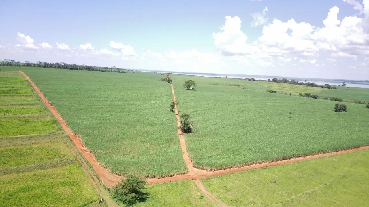 Fazenda à venda de 491 ha em Santo Antônio do Aracanguá, SP, Brasil