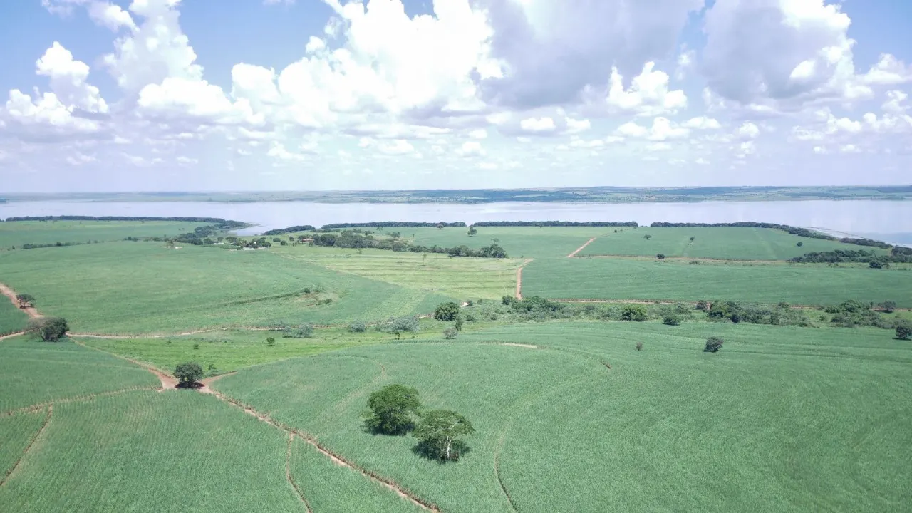 Fazenda à venda de 491 ha em Santo Antônio do Aracanguá, SP, Brasil