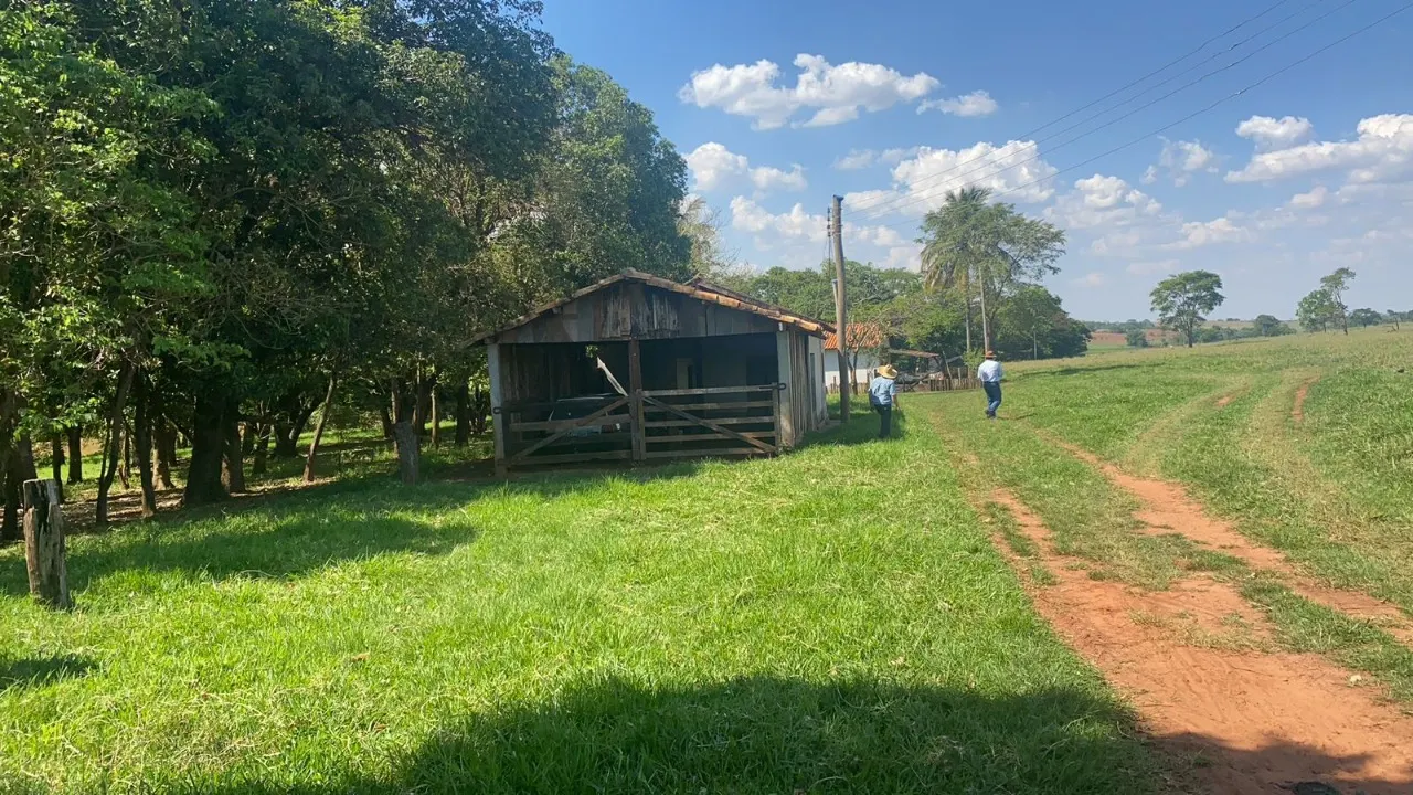 Fazenda à venda de 491 ha em Santo Antônio do Aracanguá, SP, Brasil