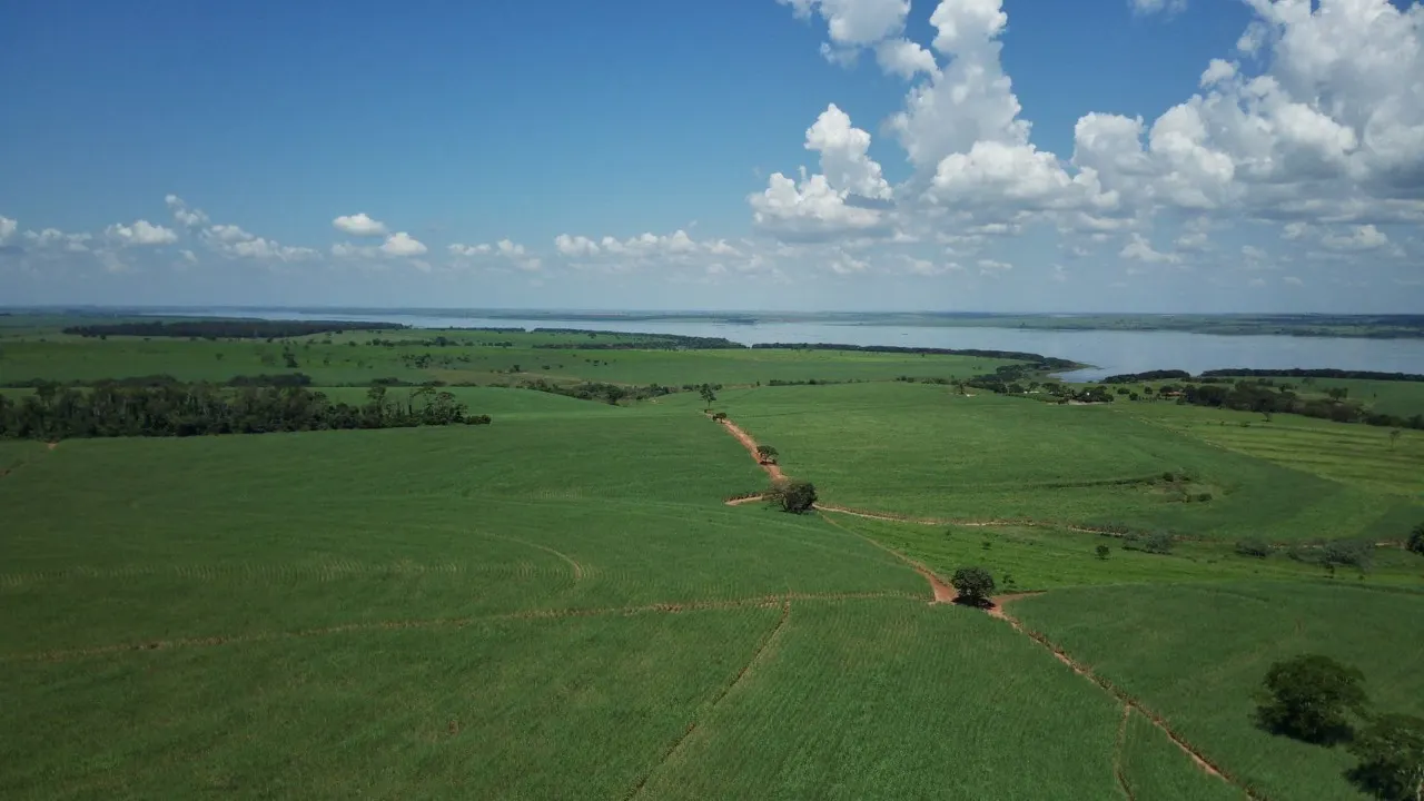 Fazenda à venda de 491 ha em Santo Antônio do Aracanguá, SP, Brasil