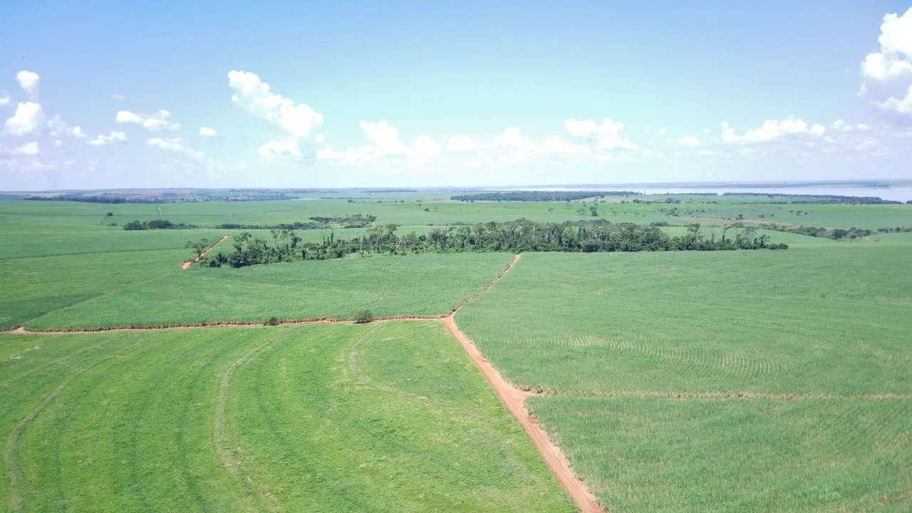 Fazenda à venda de 491 ha em Santo Antônio do Aracanguá, SP, Brasil