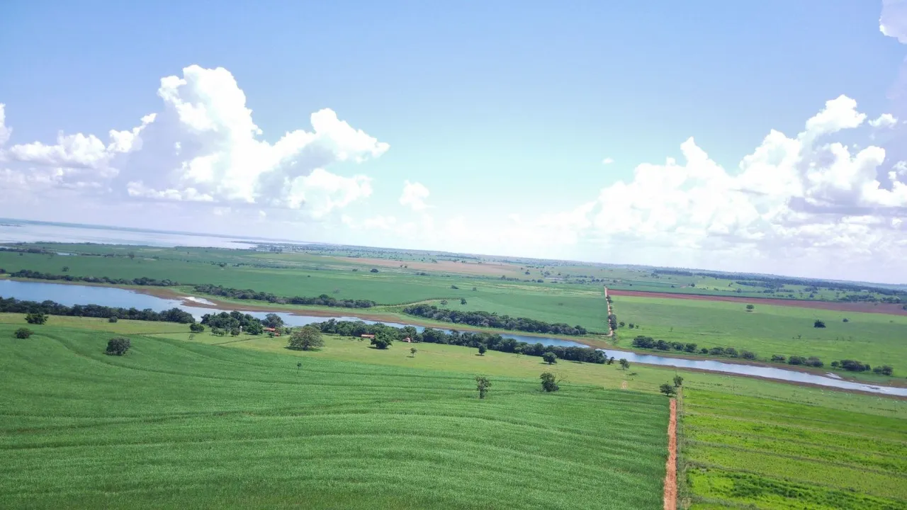 Fazenda à venda de 491 ha em Santo Antônio do Aracanguá, SP, Brasil