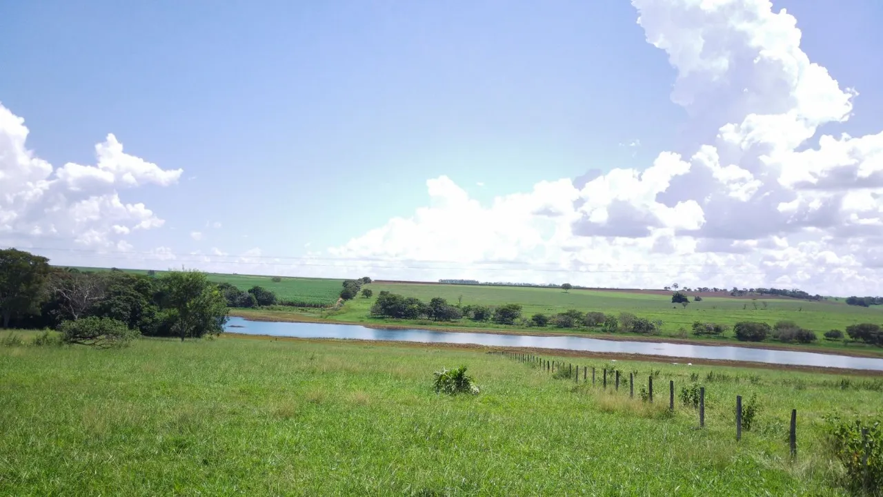 Fazenda à venda de 491 ha em Santo Antônio do Aracanguá, SP, Brasil