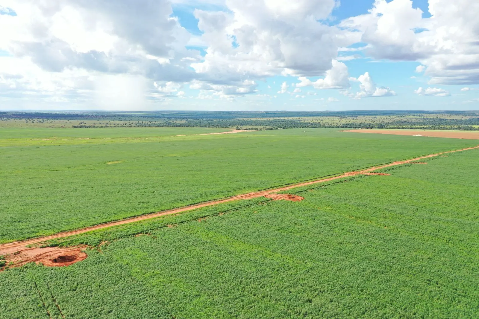 Fazenda à venda de 1.700 ha em Chapadão do Sul, MS, Brasil