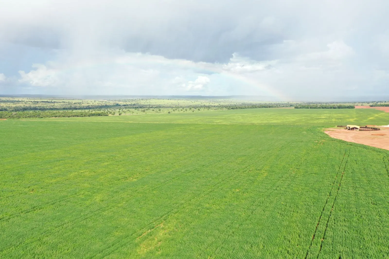 Fazenda à venda de 1.700 ha em Chapadão do Sul, MS, Brasil