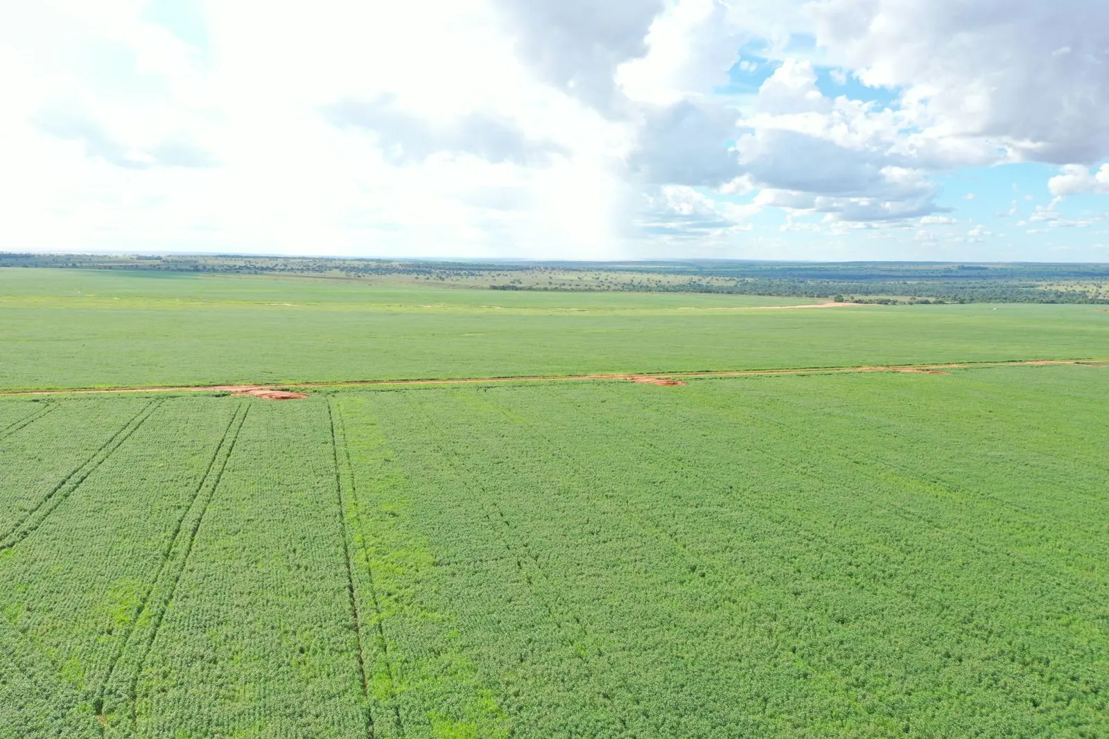 Fazenda à venda de 1.700 ha em Chapadão do Sul, MS, Brasil