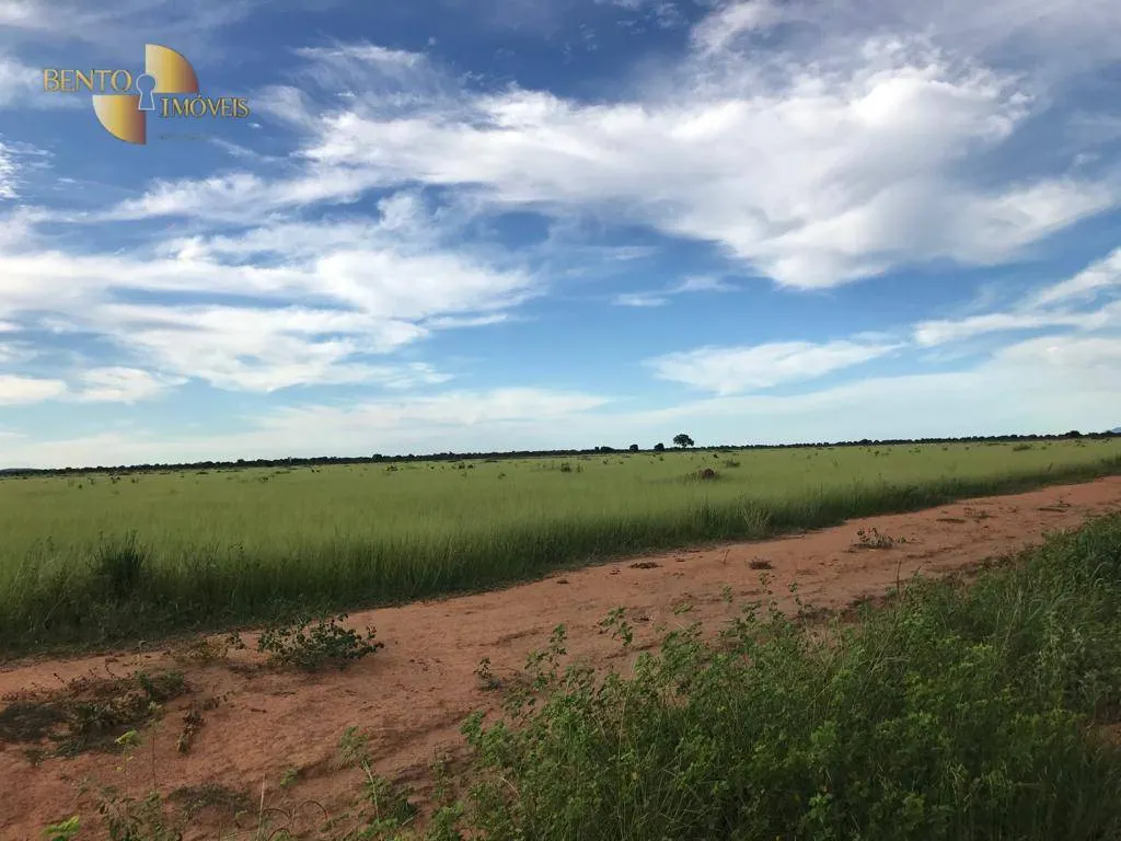 Fazenda à venda de 709 ha em Cocalinho, MT, Brasil