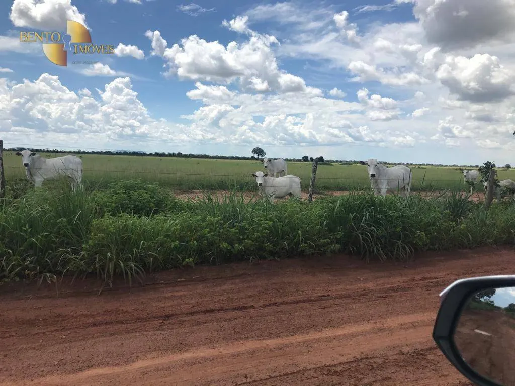 Fazenda à venda de 709 ha em Cocalinho, MT, Brasil