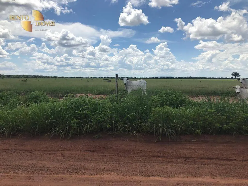 Fazenda à venda de 709 ha em Cocalinho, MT, Brasil