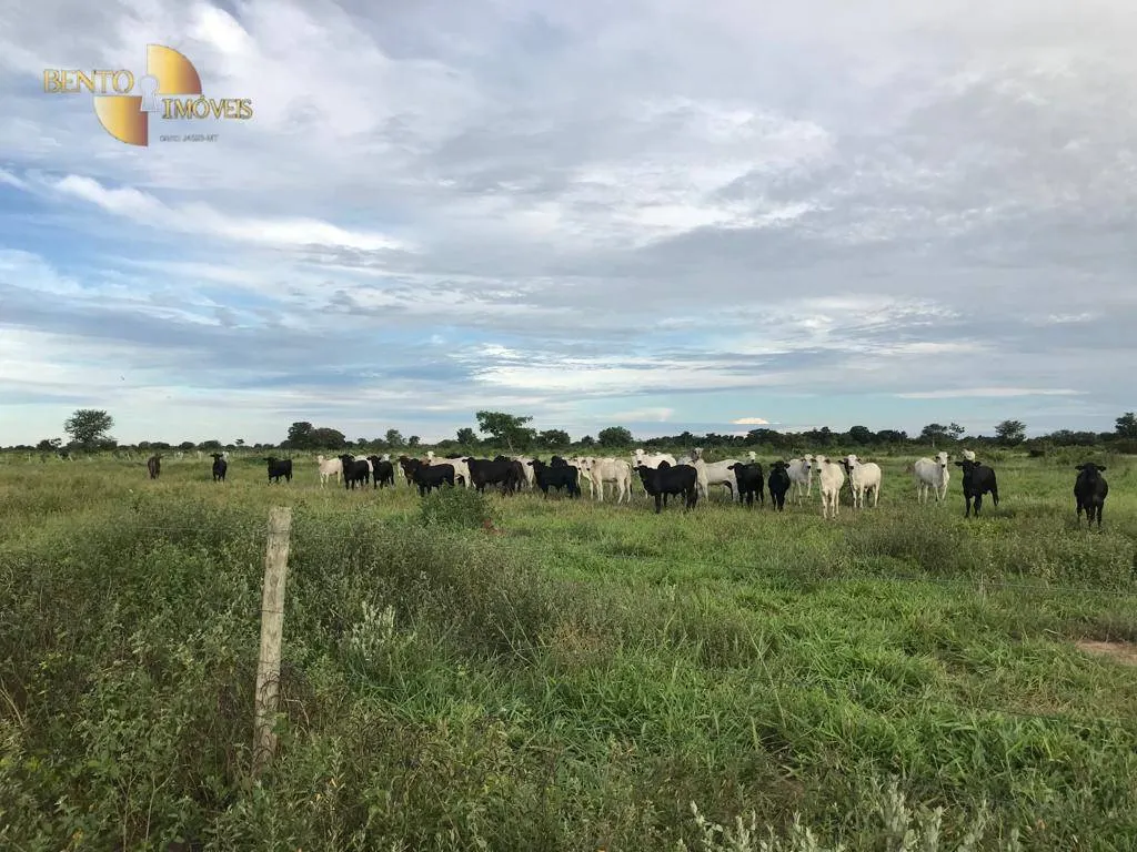 Fazenda à venda de 709 ha em Cocalinho, MT, Brasil