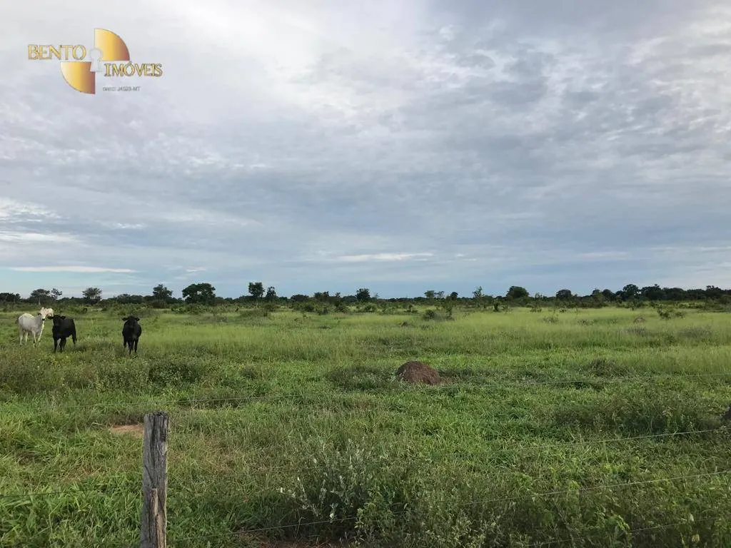 Fazenda à venda de 709 ha em Cocalinho, MT, Brasil