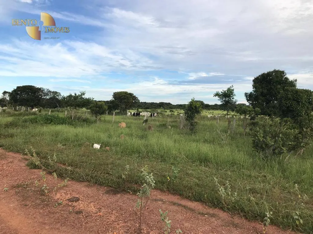 Fazenda à venda de 709 ha em Cocalinho, MT, Brasil