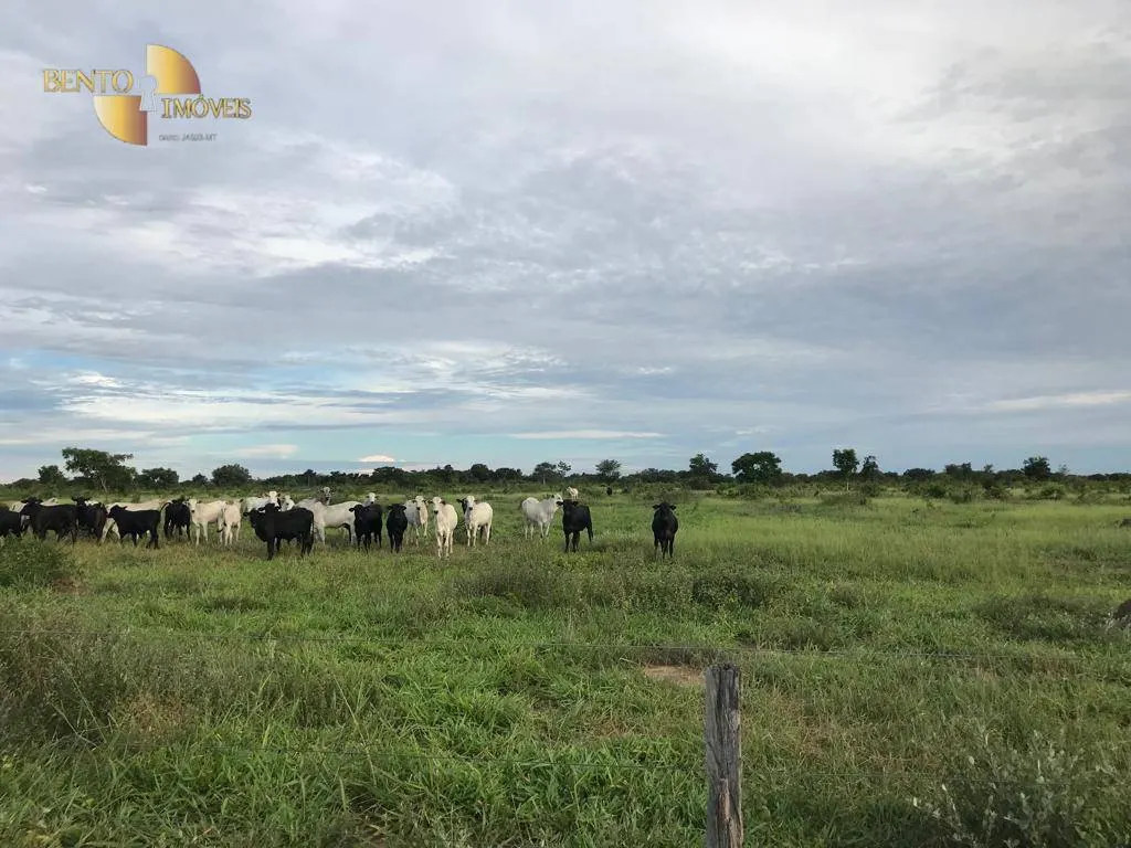Fazenda à venda de 709 ha em Cocalinho, MT, Brasil