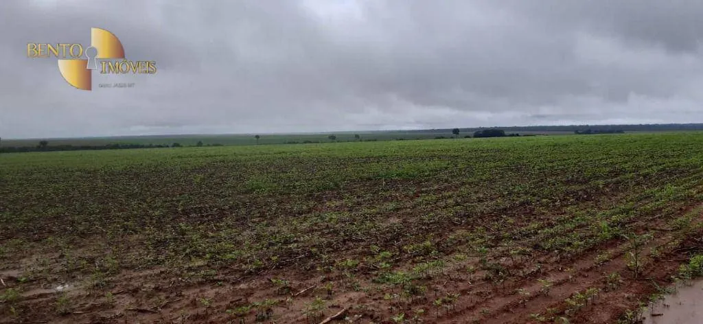 Fazenda à venda de 21.154 ha em Pontes e Lacerda, MT, Brasil