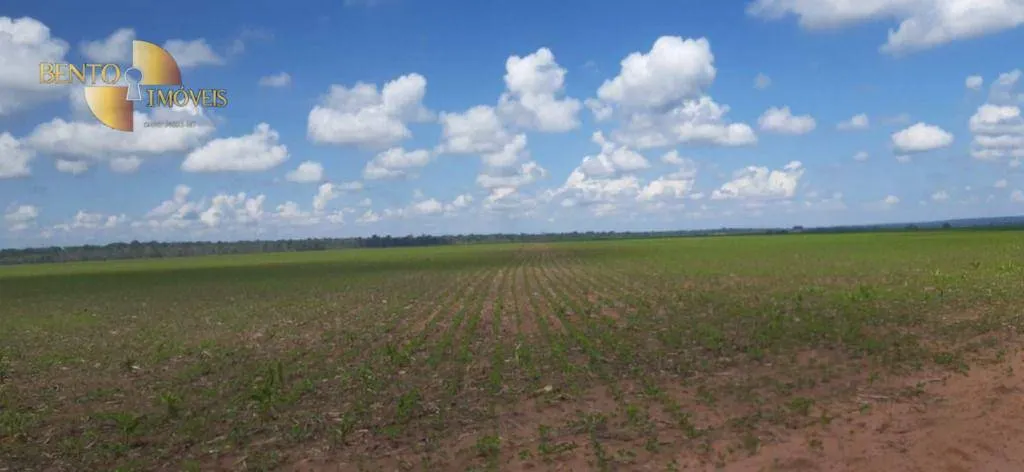 Fazenda à venda de 21.154 ha em Pontes e Lacerda, MT, Brasil