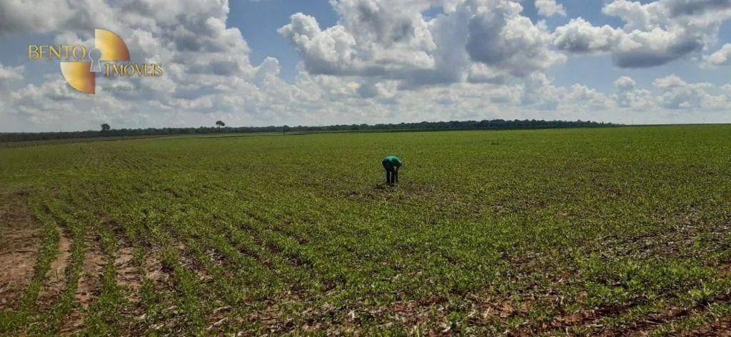 Fazenda à venda de 21.154 ha em Pontes e Lacerda, MT, Brasil