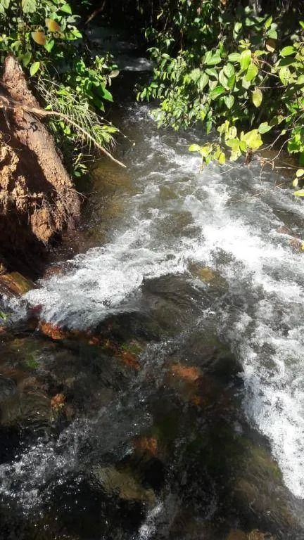 Fazenda à venda de 21.154 ha em Pontes e Lacerda, MT, Brasil