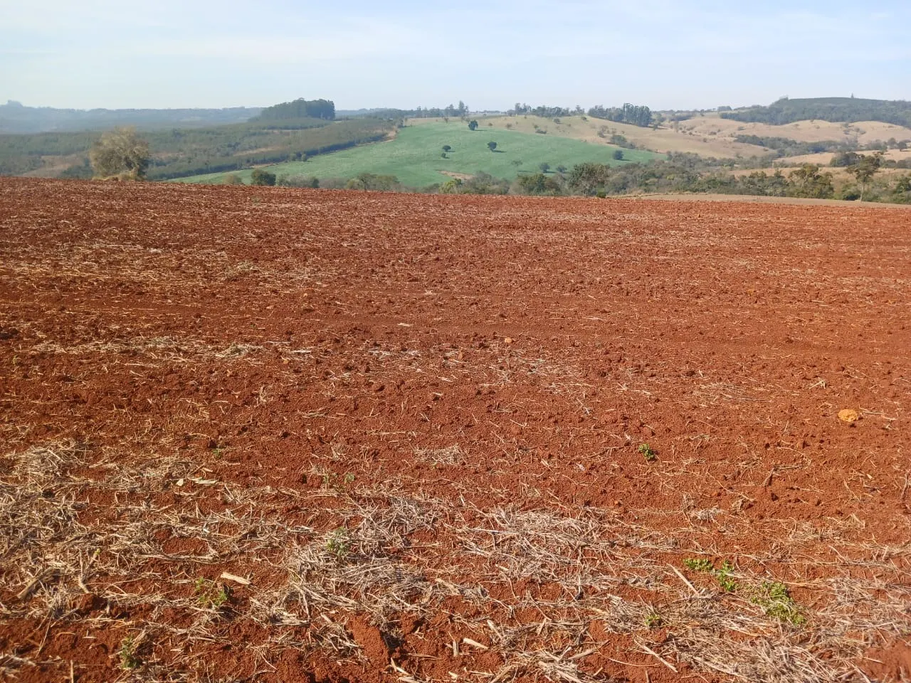 Fazenda à venda de 22 ha em Conchas, SP, Brasil