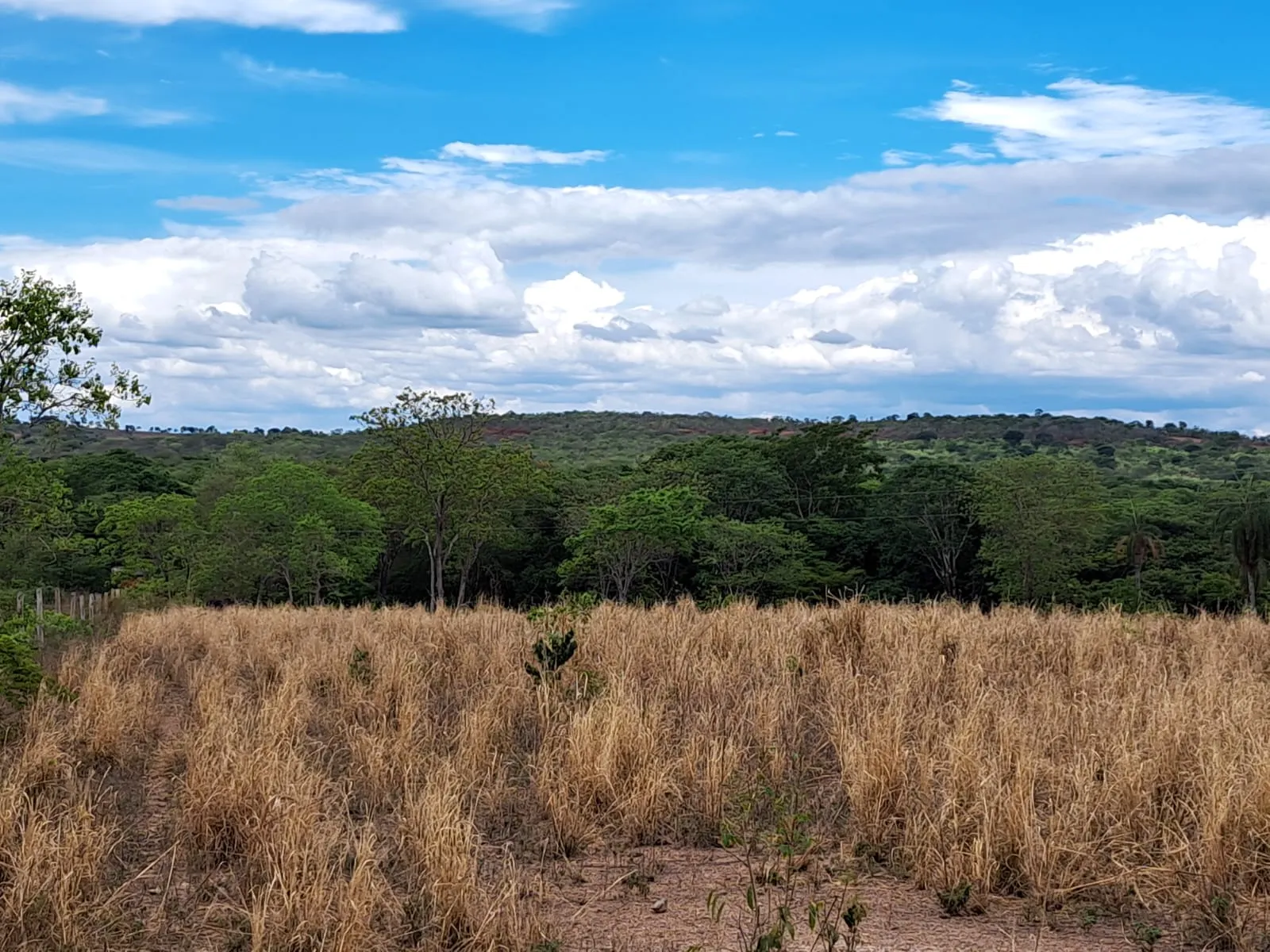 Fazenda à venda de 51 ha em Campo Azul, MG, Brasil