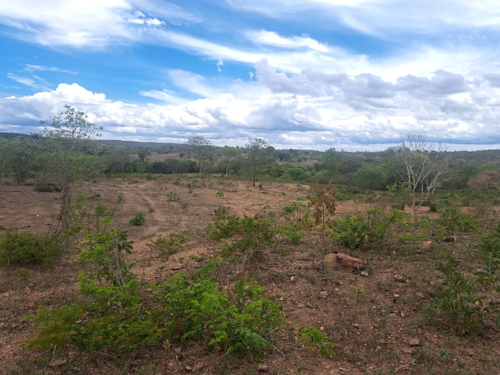 Fazenda à venda de 51 ha em Campo Azul, MG, Brasil