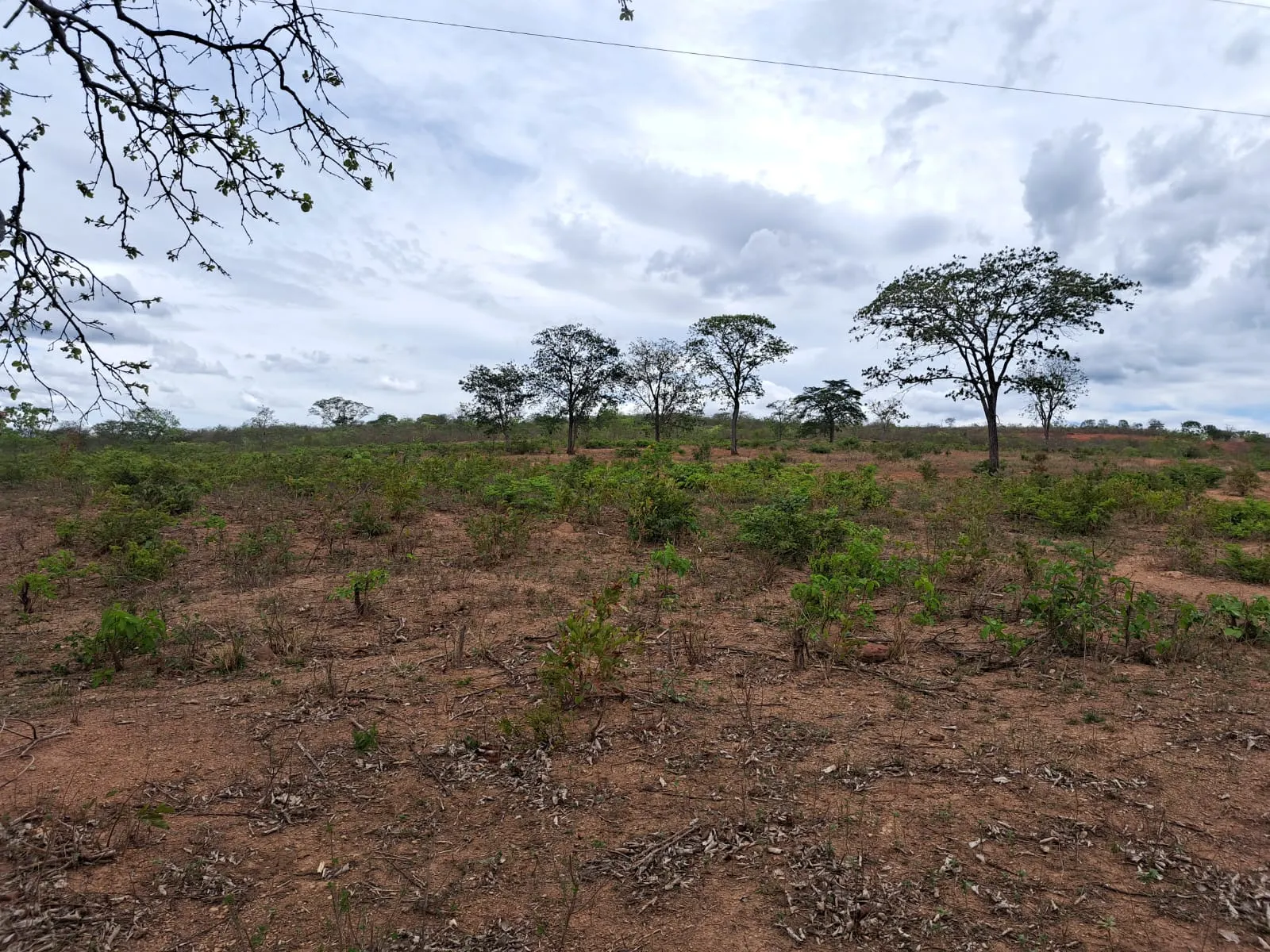 Fazenda à venda de 51 ha em Campo Azul, MG, Brasil
