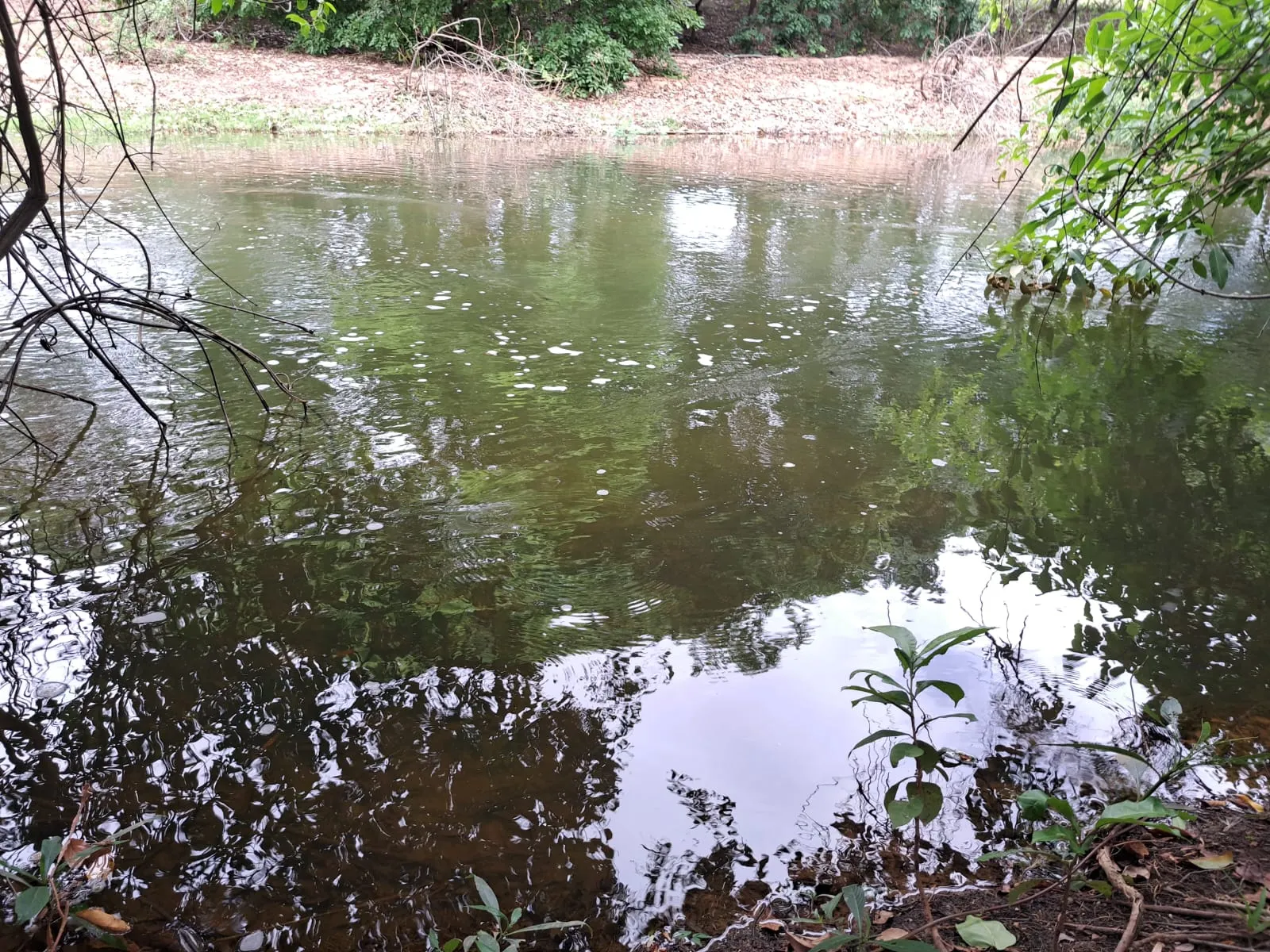 Fazenda à venda de 51 ha em Campo Azul, MG, Brasil