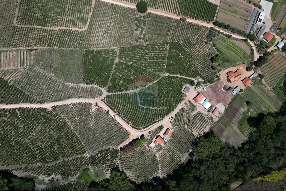 Small farm for sale of 25 acres in Serra Negra, SP, Brazil