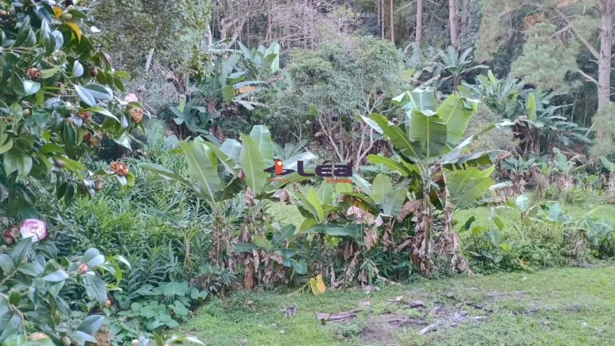 Chácara à venda de 1.780 m² em Suzano, SP, Brasil