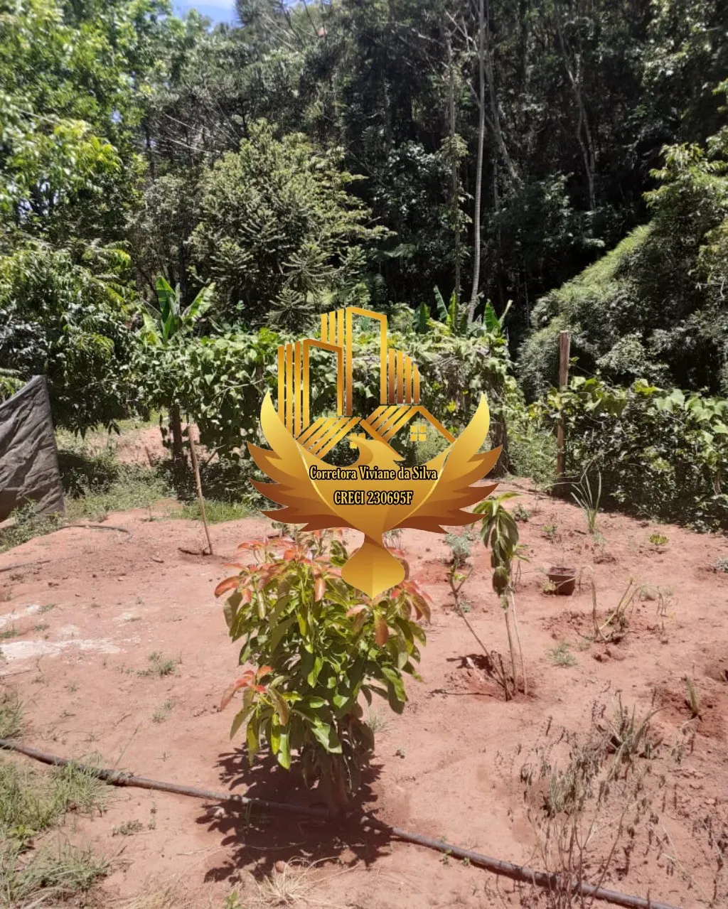 Country home for sale of 2 acres in Cunha, SP, Brazil