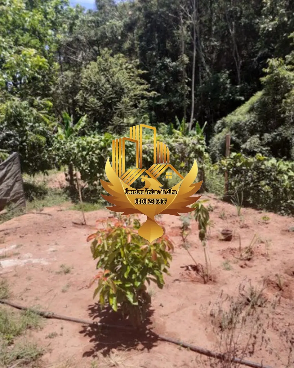 Country home for sale of 2 acres in Cunha, SP, Brazil