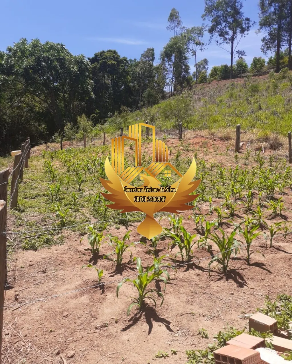 Country home for sale of 2 acres in Cunha, SP, Brazil