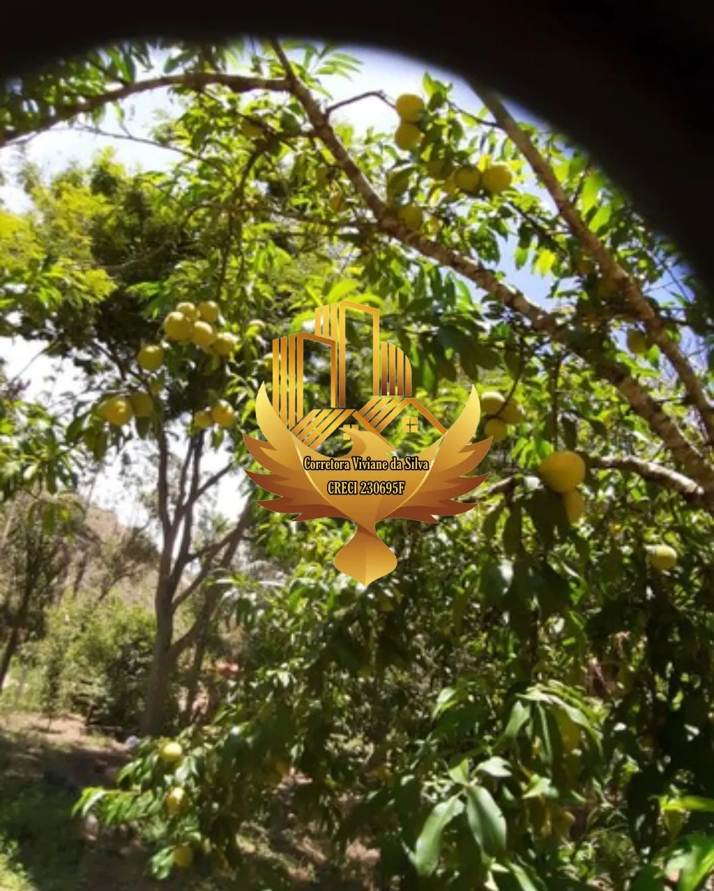 Country home for sale of 2 acres in Cunha, SP, Brazil