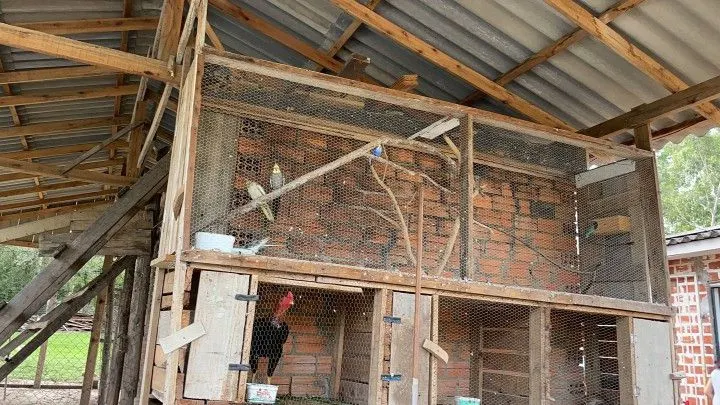 Chácara à venda de 5 ha em Santo Antônio da Patrulha, RS, Brasil