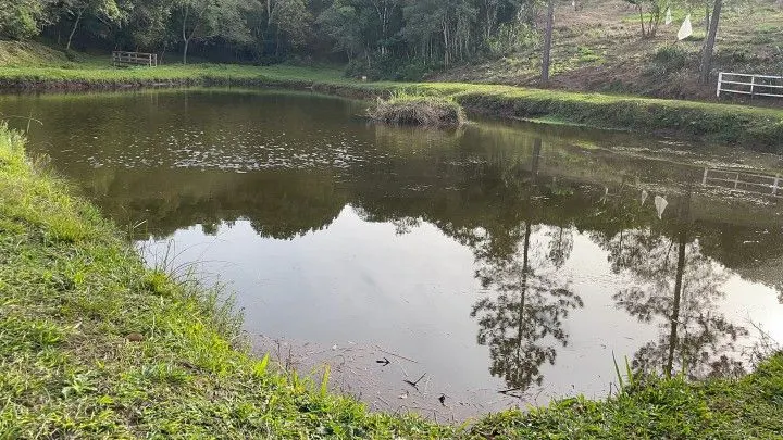 Chácara à venda de 5 ha em Santo Antônio da Patrulha, RS, Brasil