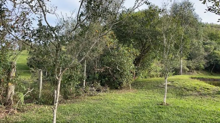 Chácara à venda de 5 ha em Santo Antônio da Patrulha, RS, Brasil