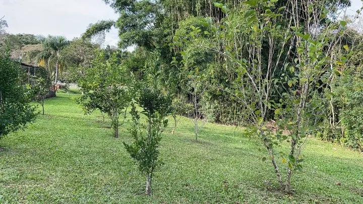 Chácara à venda de 5 ha em Santo Antônio da Patrulha, RS, Brasil