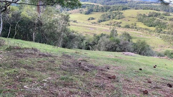 Chácara à venda de 5 ha em Santo Antônio da Patrulha, RS, Brasil