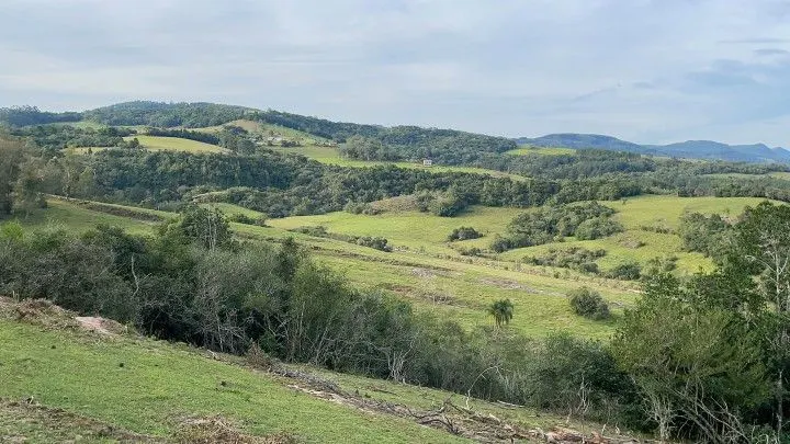 Chácara à venda de 5 ha em Santo Antônio da Patrulha, RS, Brasil