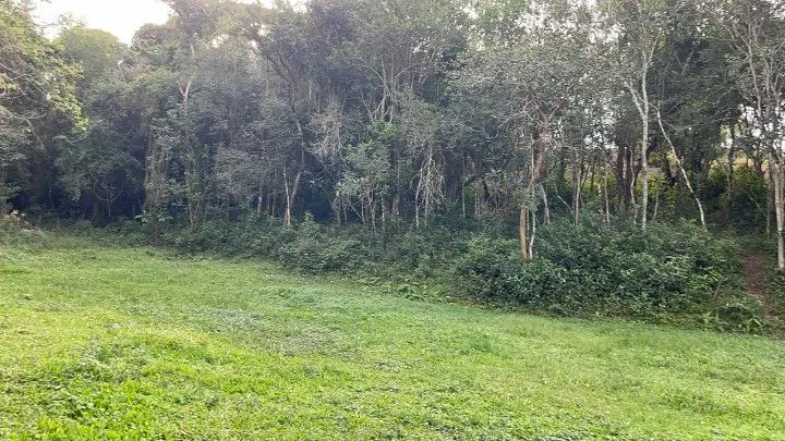 Chácara à venda de 5 ha em Santo Antônio da Patrulha, RS, Brasil